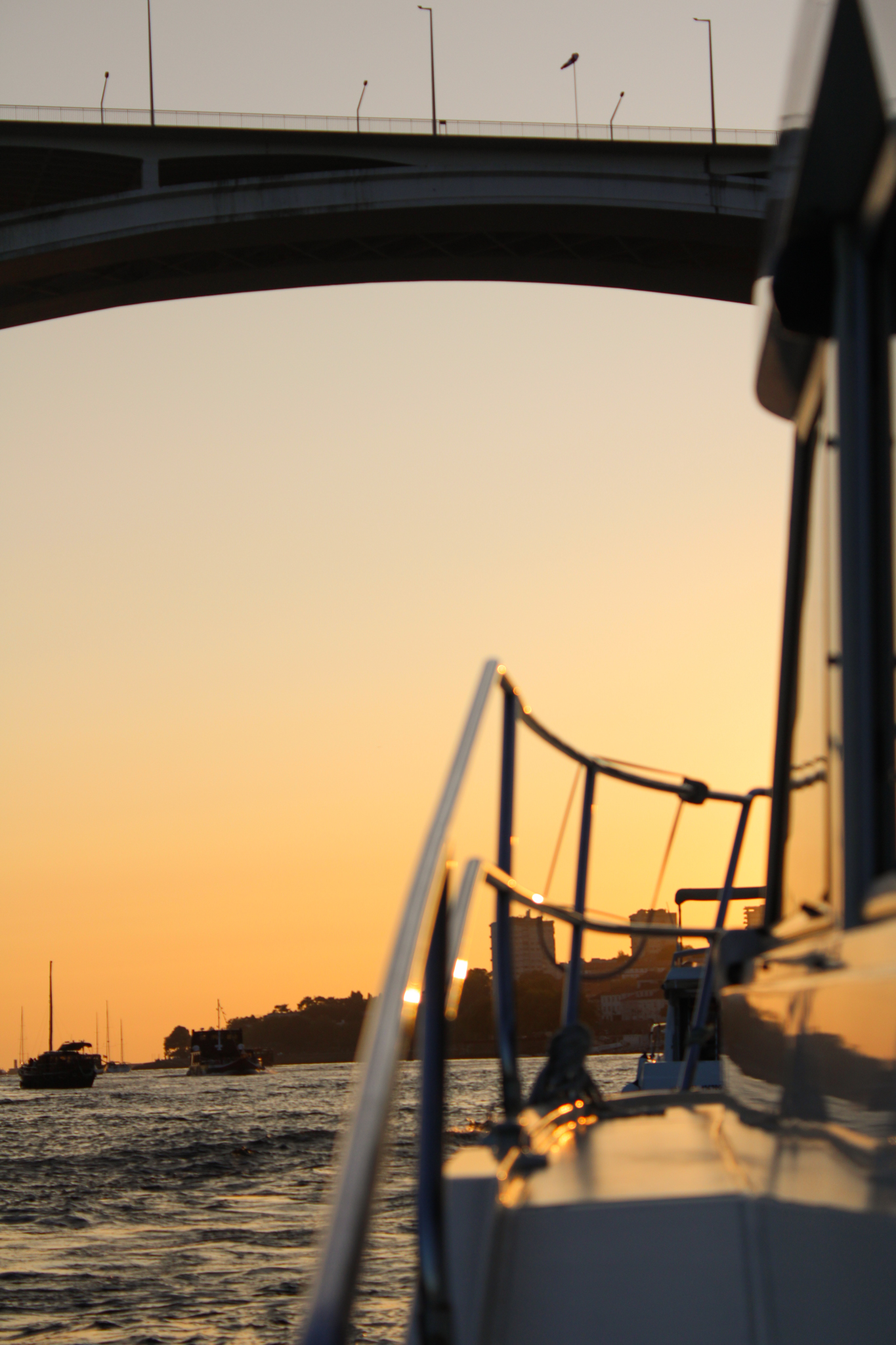 Diamante Douro sailing along the Douro River