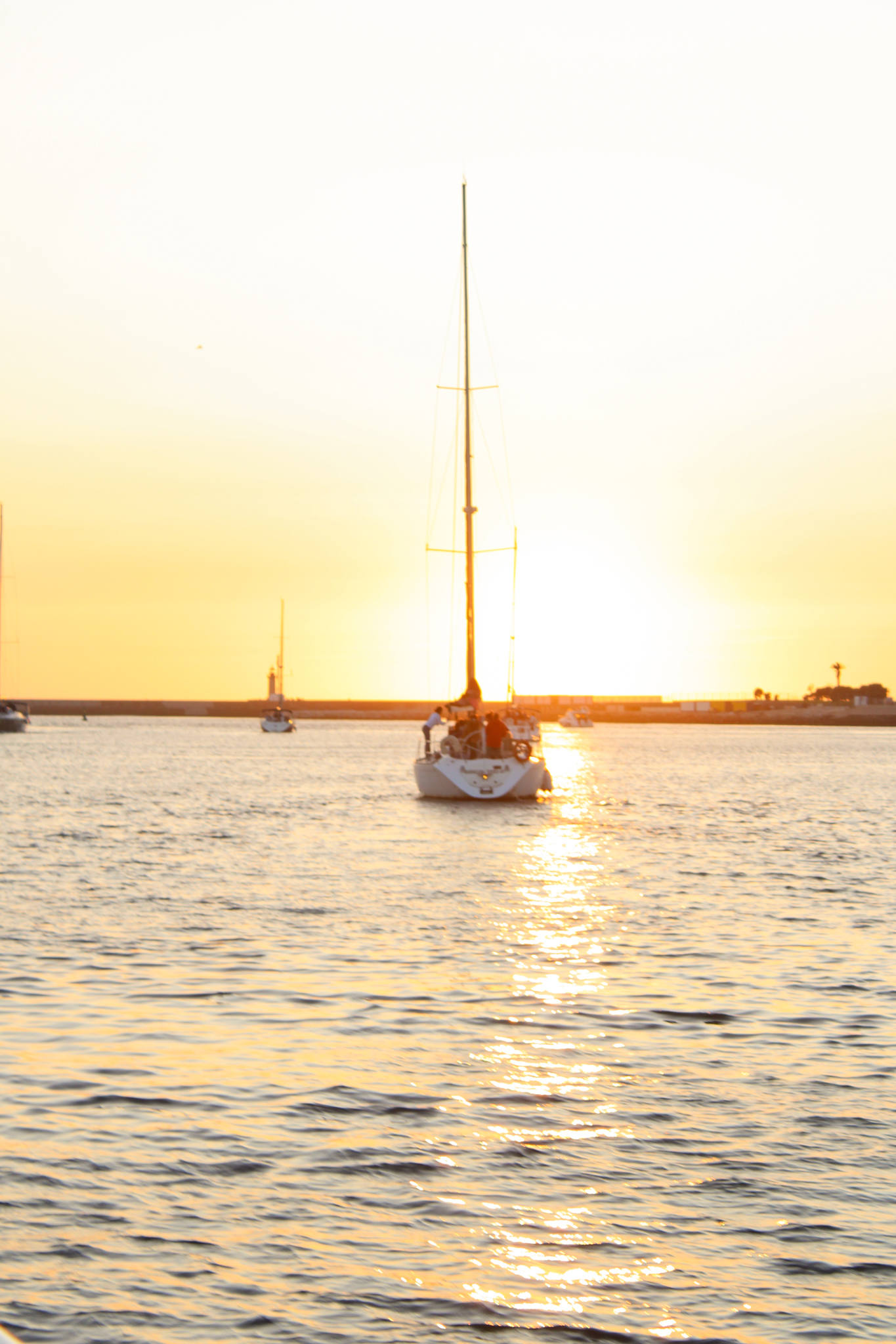 Guests enjoying a sunset aboard Diamante Douro