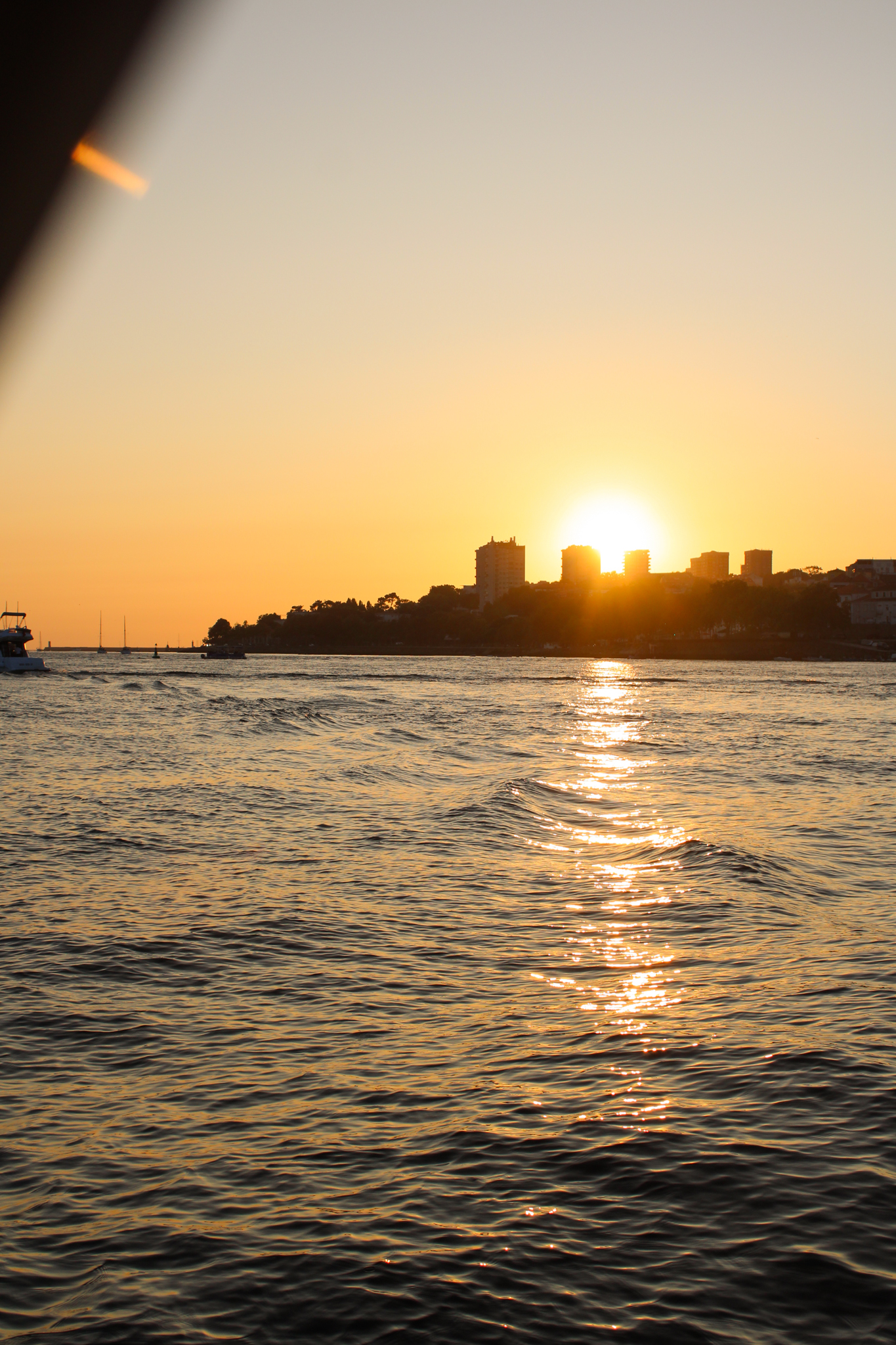 Sunset cruise on the Douro River
