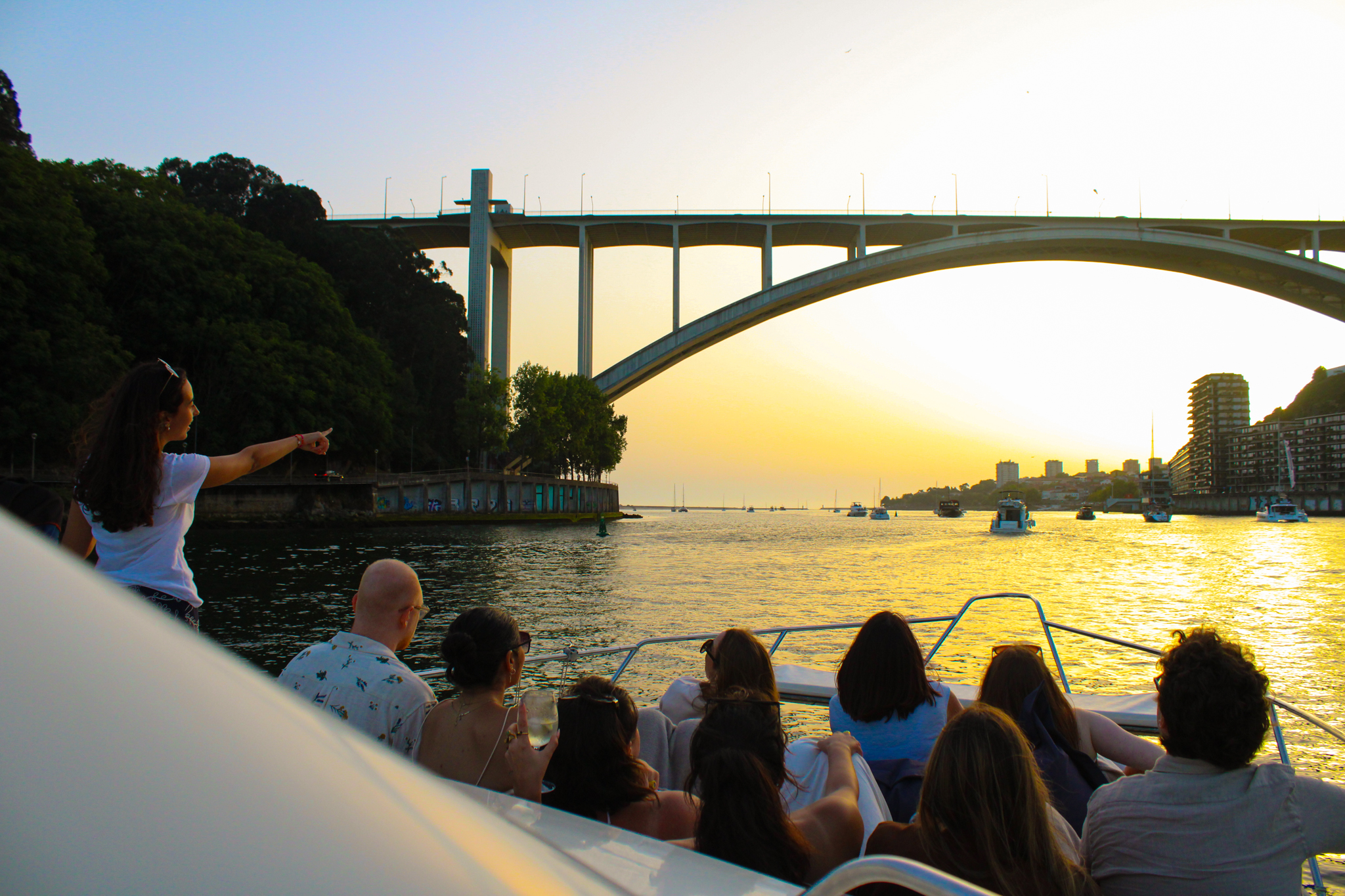 Sunset cruise on the Douro River
