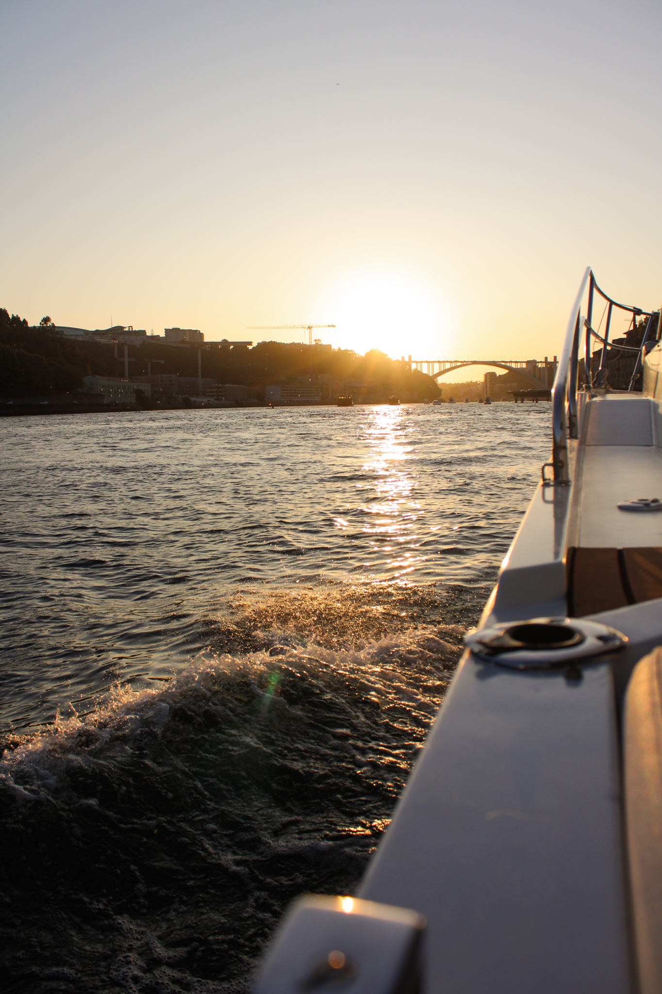 Sunset cruise on the Douro River