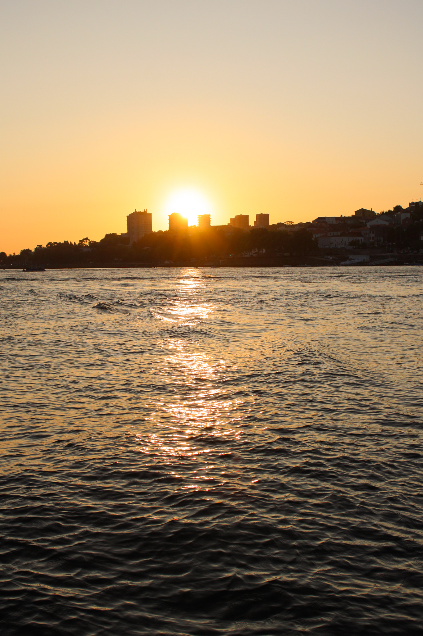 Sunset cruise on the Douro River