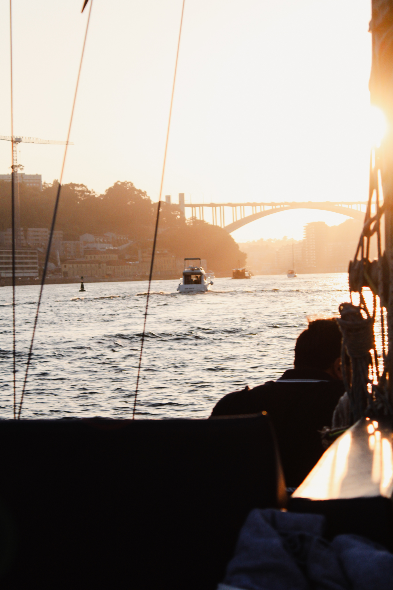 Sunset cruise on the Douro River