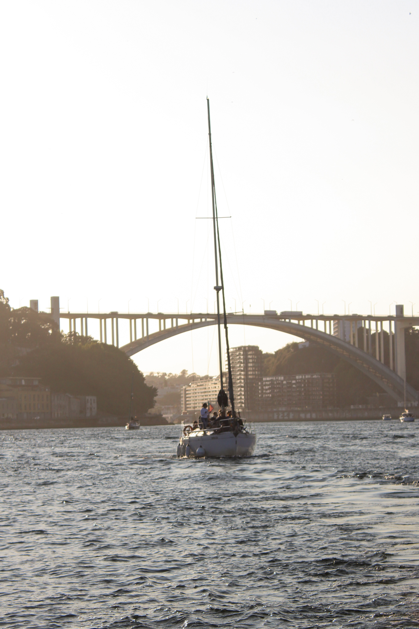 Sunset cruise on the Douro River