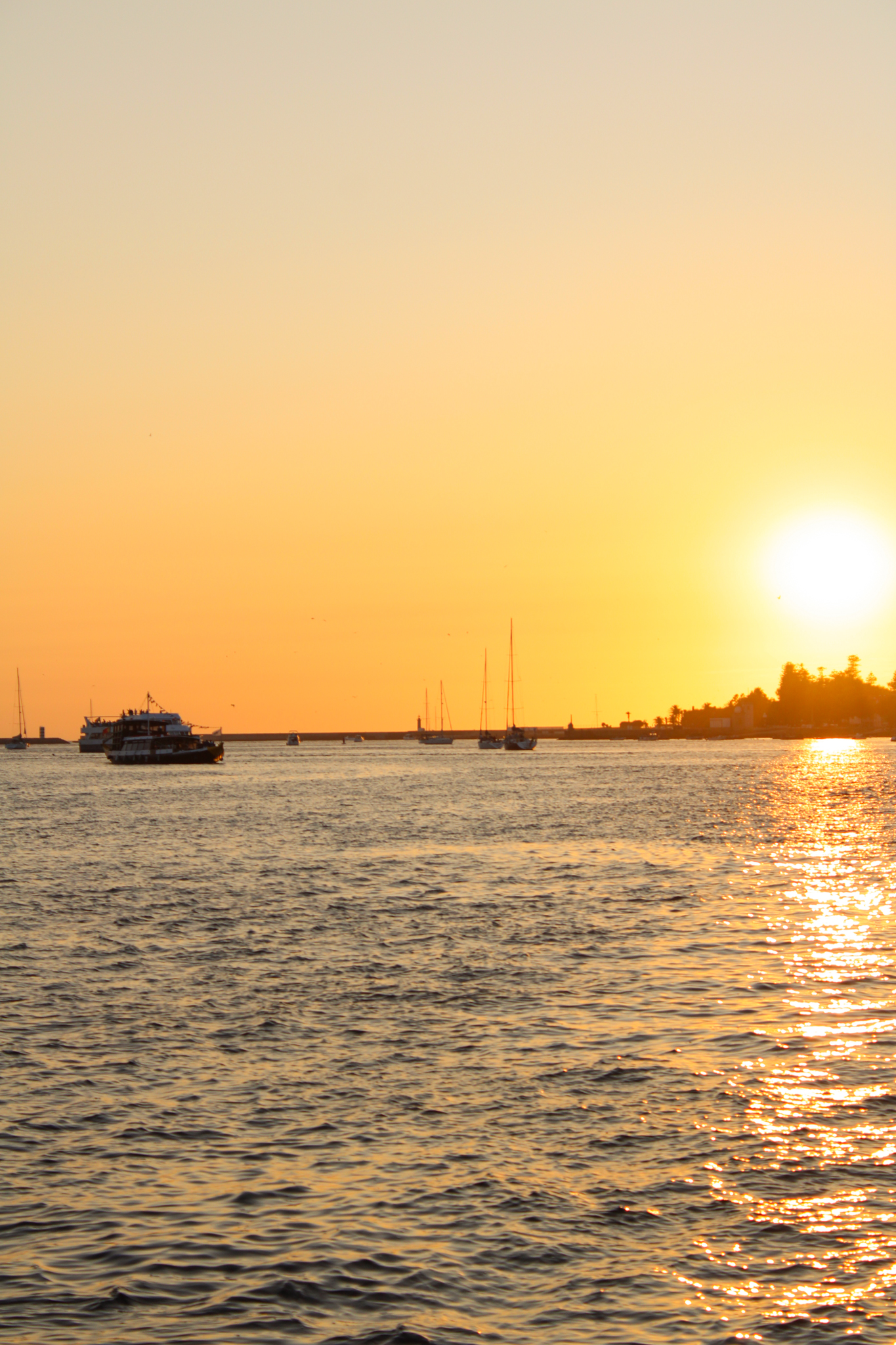 Sunset cruise on the Douro River